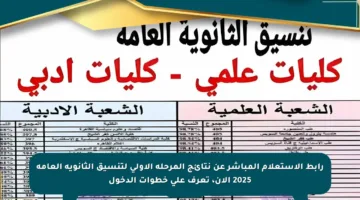 رابط الاستعلام المباشر عن نتائج المرحلة الأولى لتنسيق الثانوية العامة 2025 الآن، تعرف على خطوات الدخول